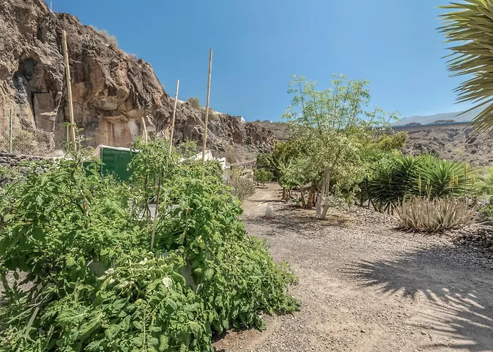 Edén Guía de Isora